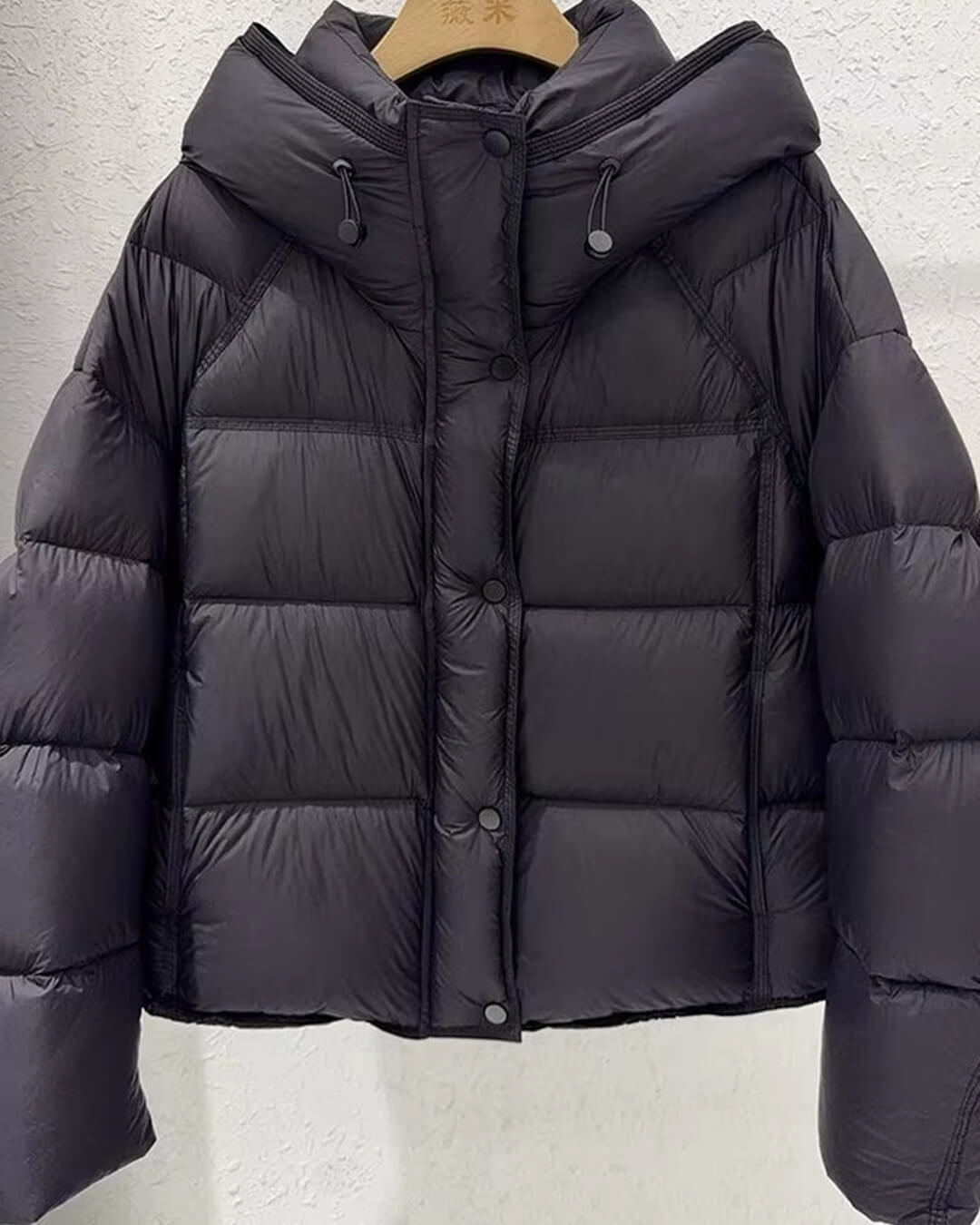 Alina Hooded Puffer Jacket